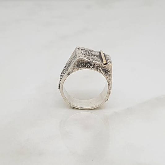 Rå Signet Ring - 925s/14k